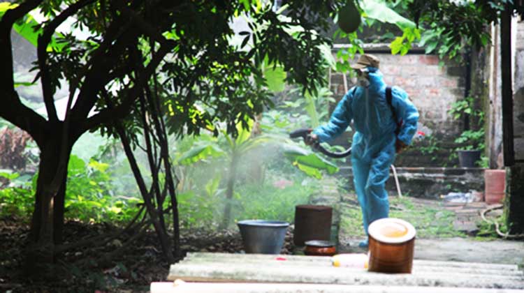 Dịch vụ phun thuốc diệt muỗi tại Phú Thọ 